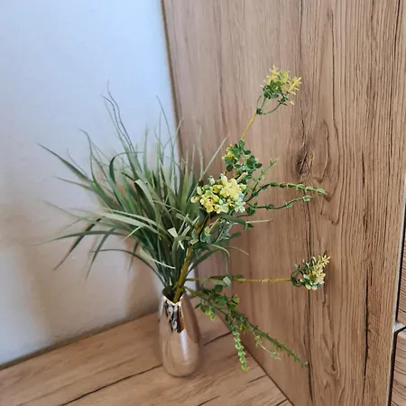 Pflüger Mit Terrasse * Lauda-Königshofen