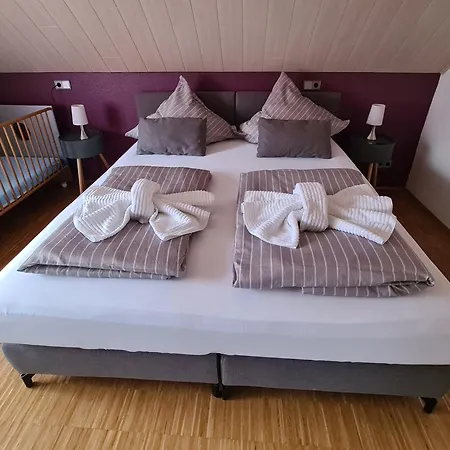 Pflüger Mit Terrasse * Lauda-Königshofen