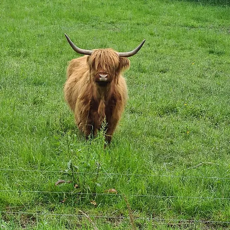 Pflüger Mit Terrasse * Lauda-Königshofen