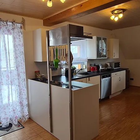 Pflueger Mit Terrasse Apartmán