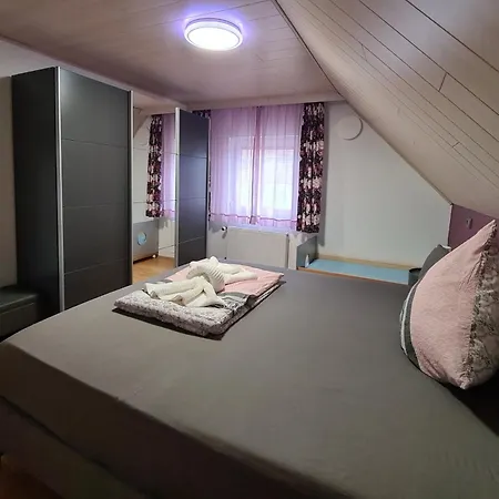 Pflüger Mit Terrasse Apartamento Lauda-Königshofen